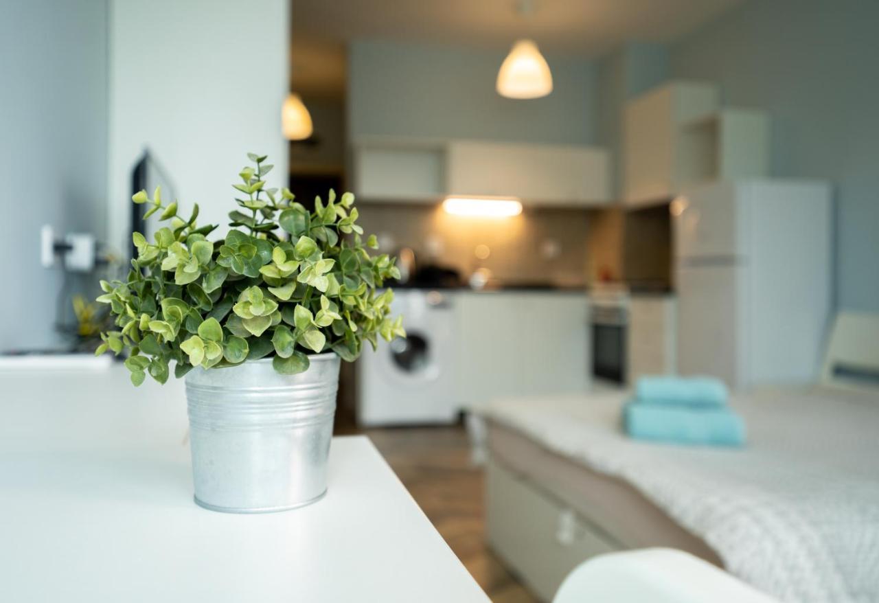 Cozy Little Apartment In Studentski Grad Sofia Ngoại thất bức ảnh